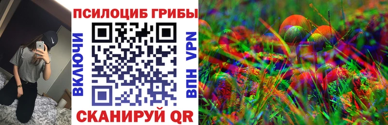 Галлюциногенные грибы Cubensis  Купить закладки  Кондрово 