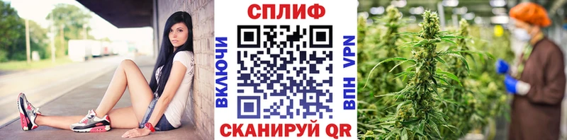 Купить  Кондрово  Бошки Шишки ГИДРОПОН 